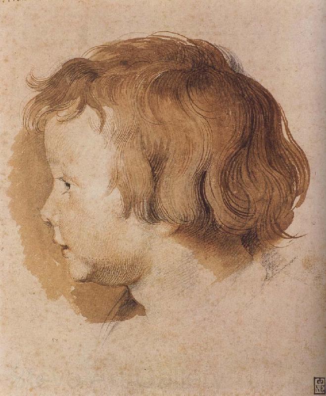 Peter Paul Rubens Portrait of Younger Rubens France oil painting art
